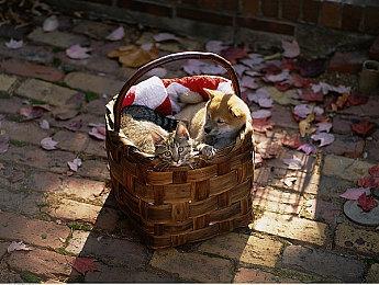 水墨风策略战棋《神笔谈兵》1.0推出，史低六折火热进行中