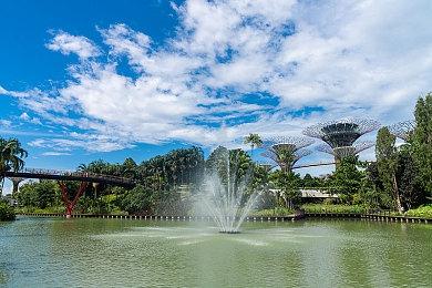 《阿尔芭：野生动物冒险》兑现承诺 现实世界植树达百万棵