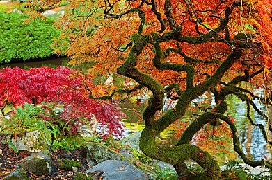 合作恐怖游戏《劫盗惊魂夜 Dark Hours》抢先体验版悄然来袭！